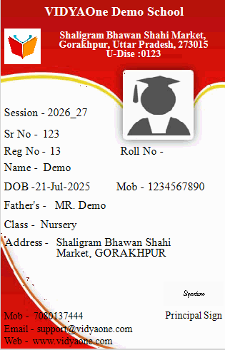 ID Card Format XIII